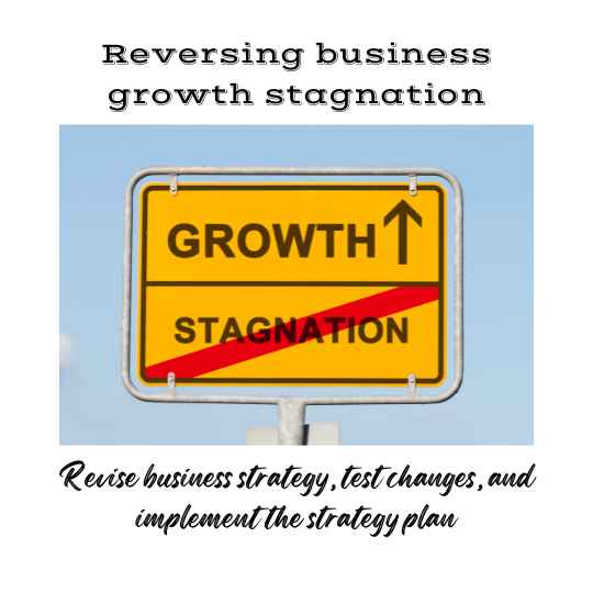 Stagnating growth can be reversed by revising your business strategy.