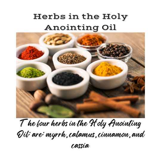 Herbs in the Holy Anointing Oil are myrrh, calamus, cinnamon and cassia.