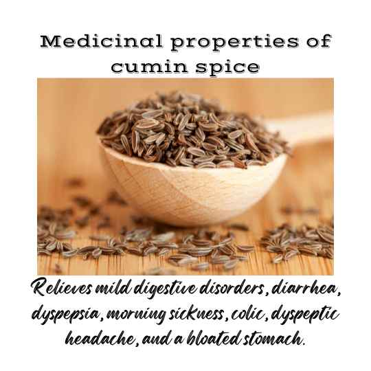 Medicinal properties of cumin spice include its positive role in improving digestion.