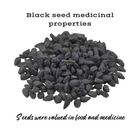 Black seeds are valued in food and traditional medicine.