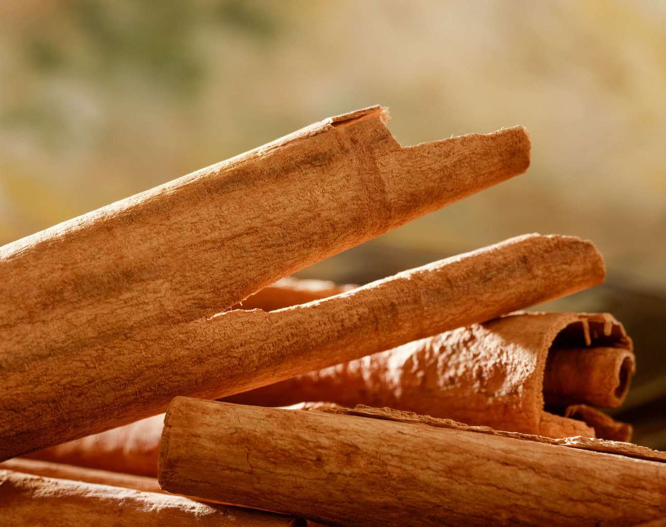 Cinnamon quills from Cinnamomum verum. The spice is also called true cinnamon.