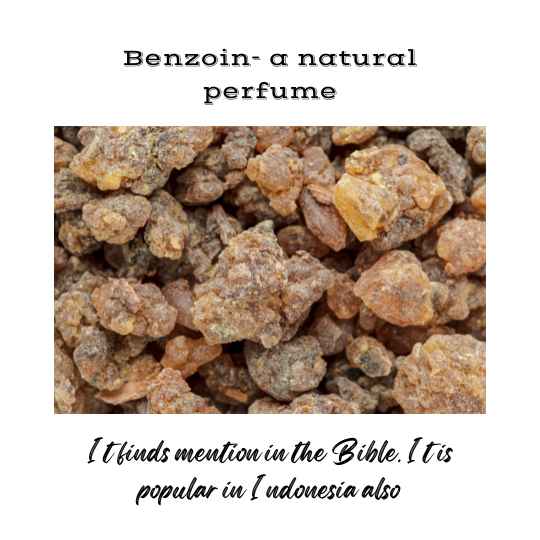 Benzoin- a natural perfume finds mention in the Bible