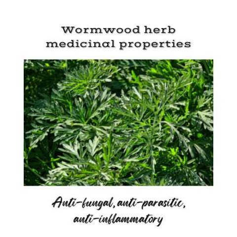 Why all the unpleasant connotations of wormwood in the Bible