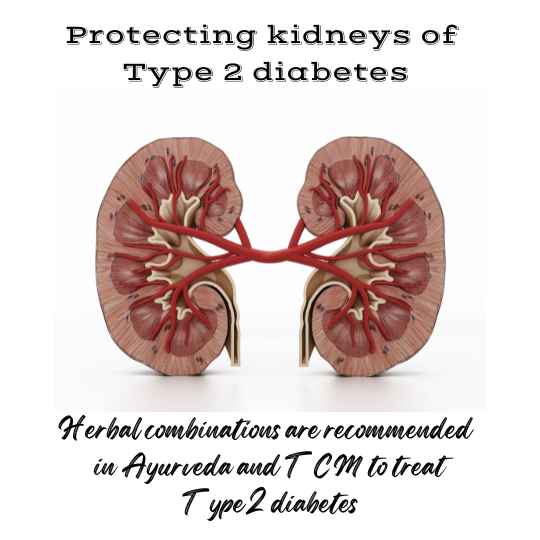 Herbal combinations are recommended in Ayurveda and TCM to treat Type 2 diabetes patients
