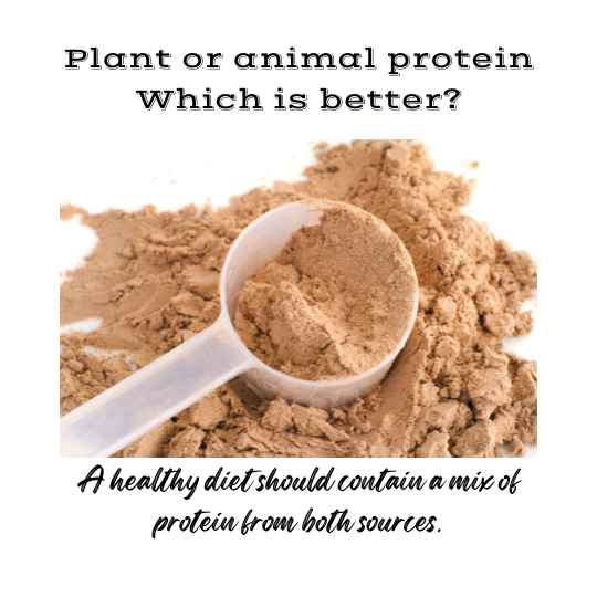 Protein: Between whey and soy, which protein should I consume?