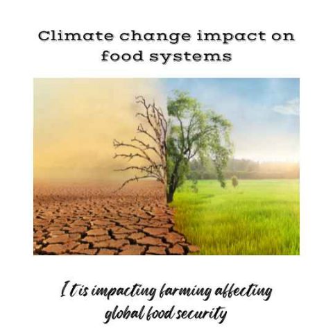 Does the world's food system need to transform to combat climate change ...