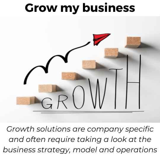 Grow my business: How do design my company for sustained business growth?