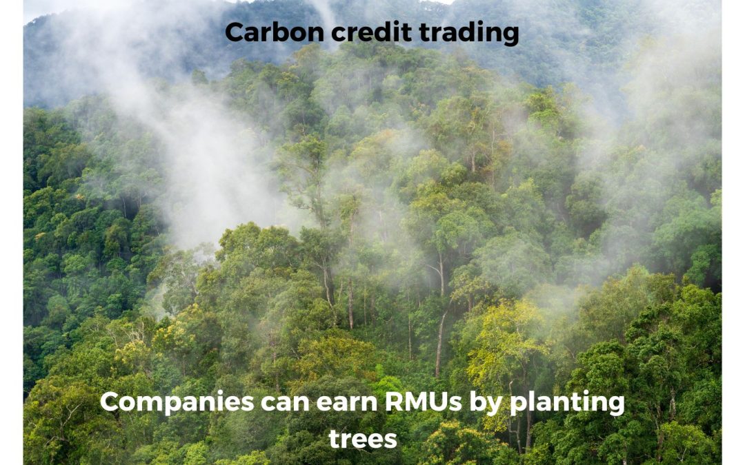 Companies can earn carbon credits by reforestration